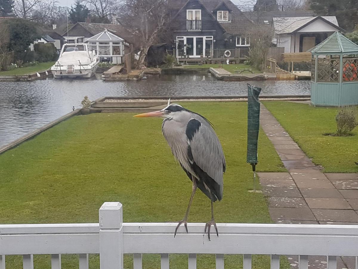 The Willows Wroxham Bagian luar foto